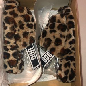 Leopard Ugg’s